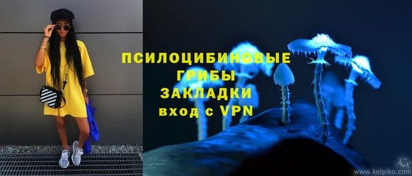 стаф Инсар