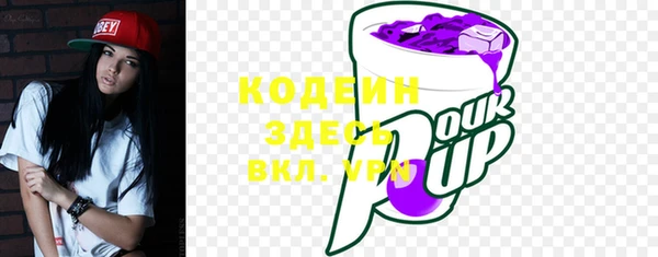 дживик Каменка