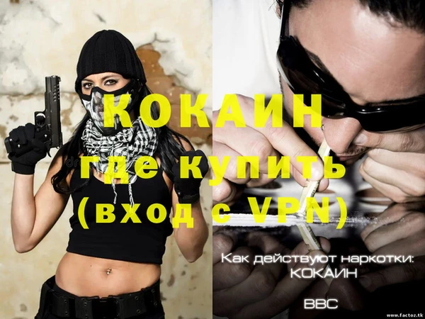 стаф Инсар