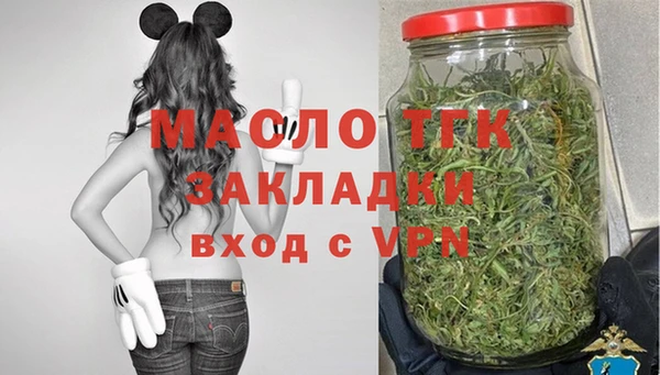 дживик Каменка