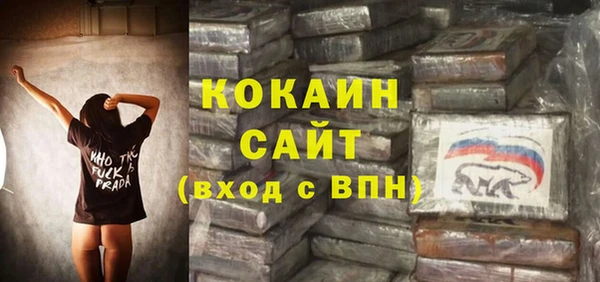 СК Каменногорск