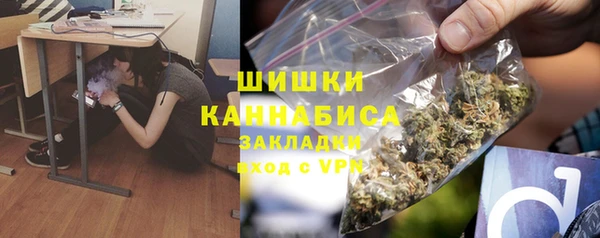 стаф Инсар