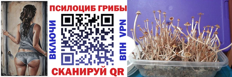 Галлюциногенные грибы мухоморы  Купить закладки  Приморск 